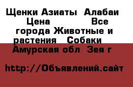 Щенки Азиаты (Алабаи) › Цена ­ 20 000 - Все города Животные и растения » Собаки   . Амурская обл.,Зея г.